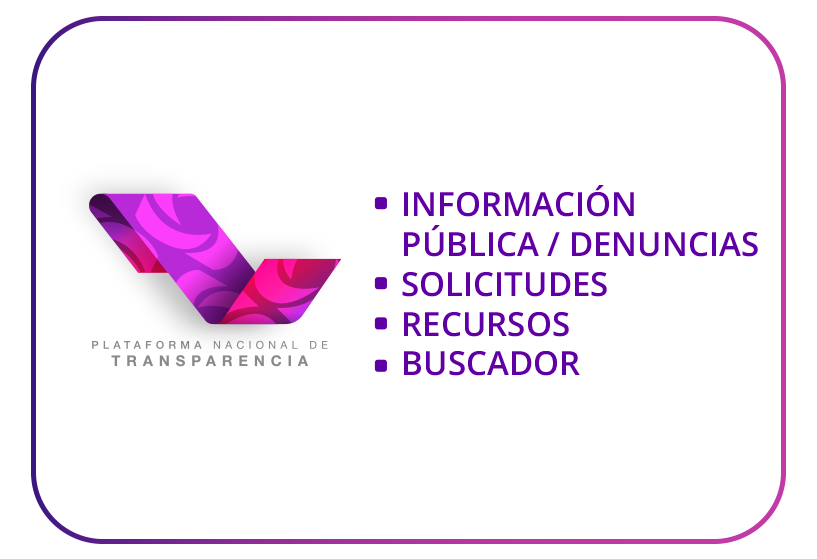 PLATAFORMA